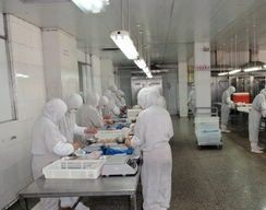 從電子到味覺(jué) 蘇錦章的“良心食品”跨界逆襲之路