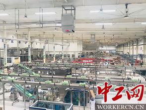 透明無(wú)盲區(qū) 伊利智慧全守護(hù) | 當(dāng)高科技助推“舌尖守護(hù)極境之旅